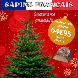 SAPIN NORDMANN 200/250