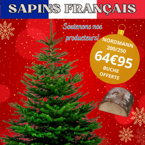 SAPIN NORDMANN 200/250