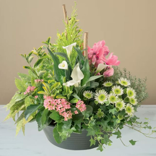 Composition de plantes de saisons