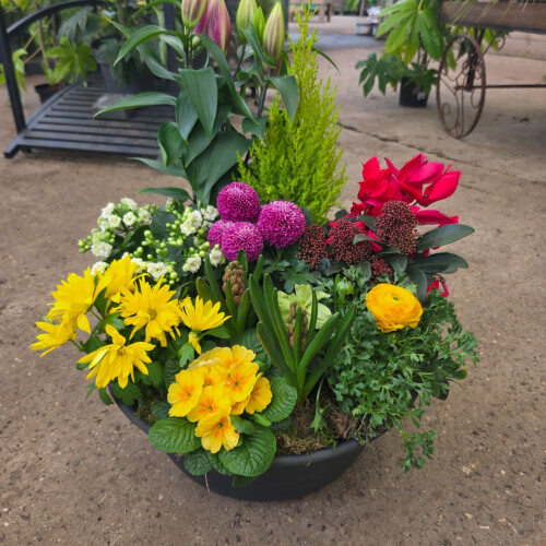 Composition de plantes de saisons