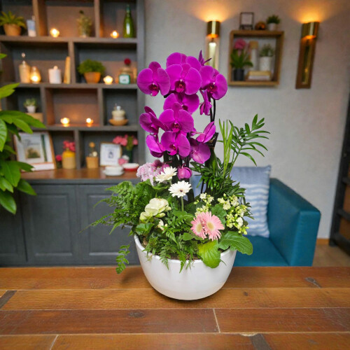 Symphonie d'orchidées rose soutenue